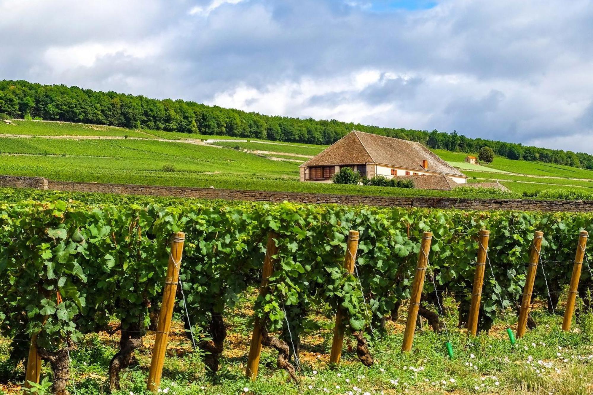 Voco Beaune , Cite Des Vins By Ihg Екстериор снимка